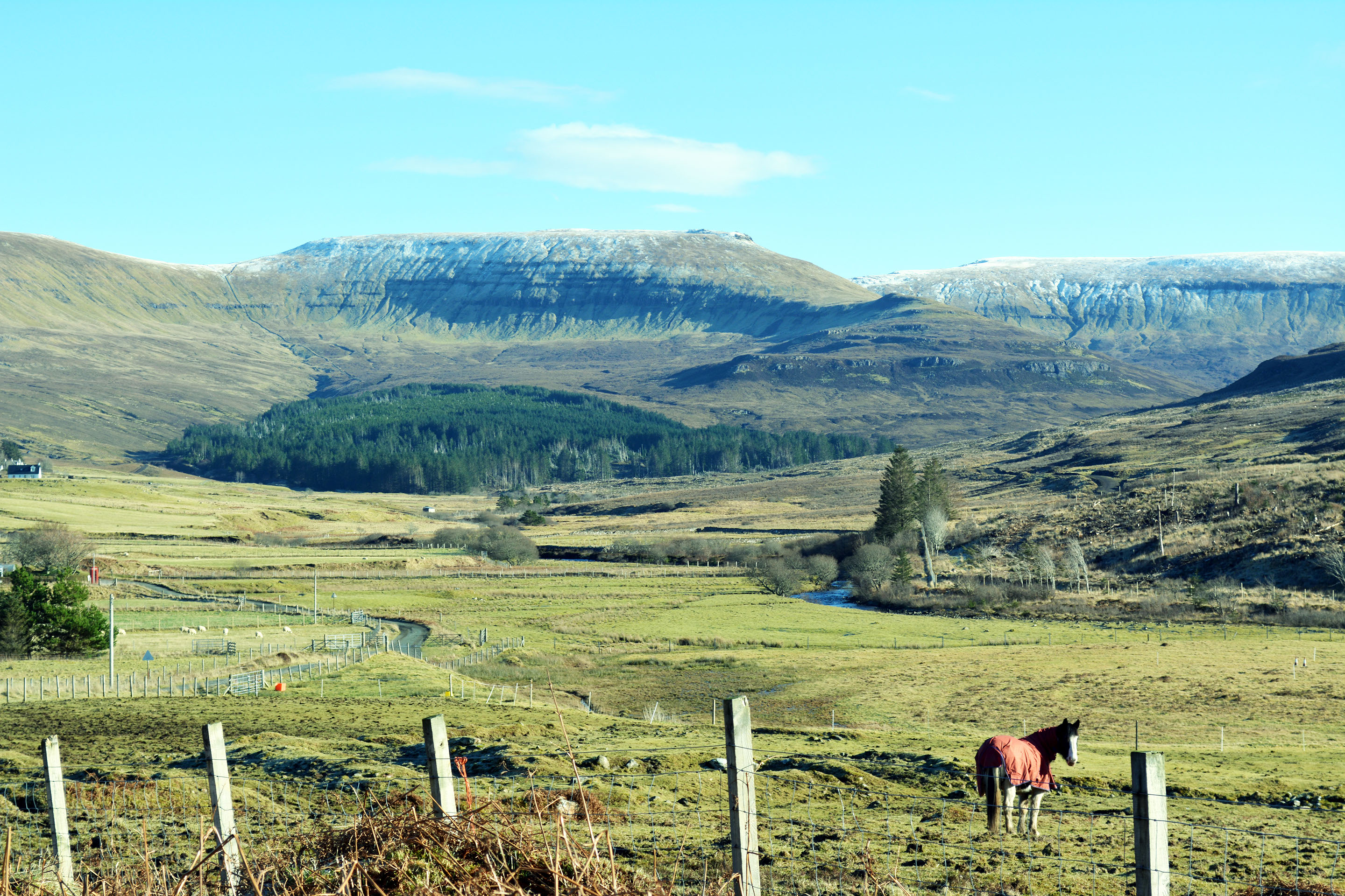Taransay House offers great food and drink including seafood in our spacious open plan restaurant